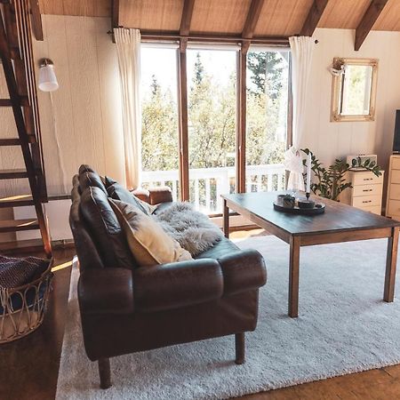 Bjoerk - A Cozy Hilltop Cottage - Great Location! Blaskogabyggd Exterior photo